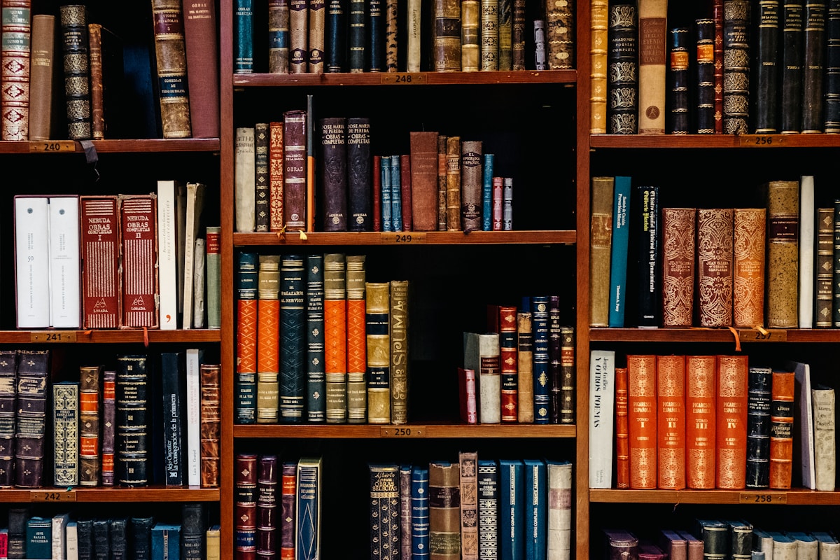 Campus library and academic setting